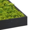 Moss Painting 50x100 cm - Emerald Green | Moss