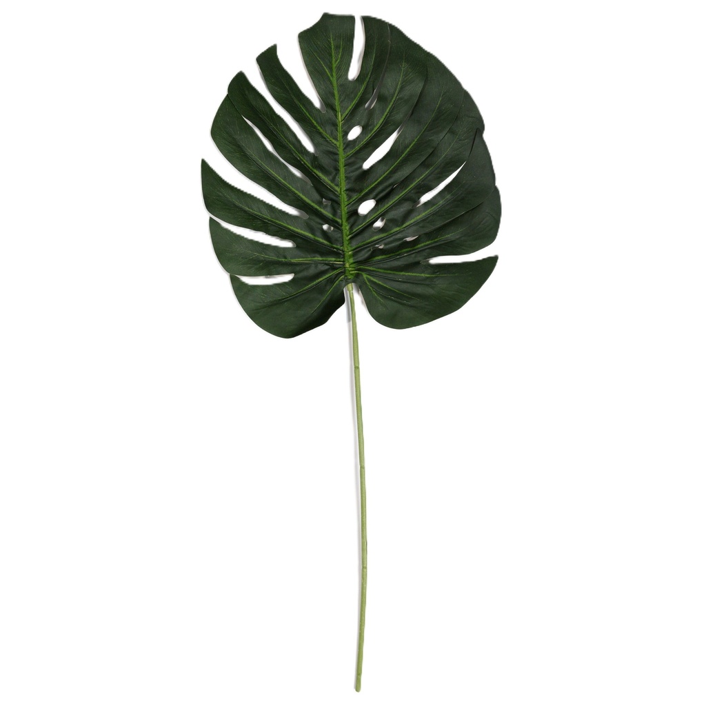 Monstera Deliciosa (leaf) FR