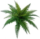 Boston Fern 48 cm UV+FR