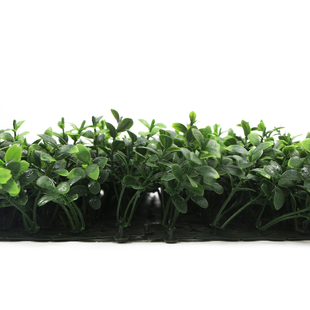 FOLY Summer Buxus 50x50 cm