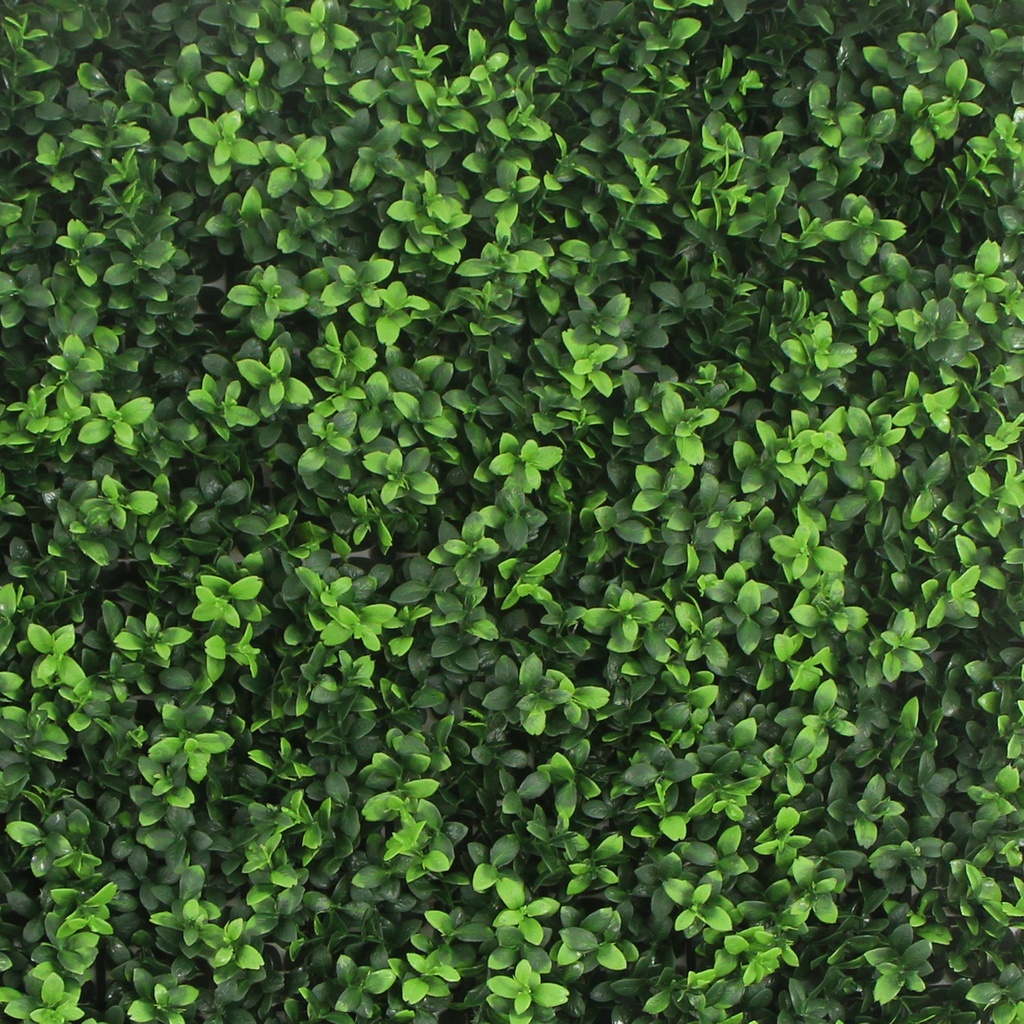 FOLY Summer Buxus 50x50 cm