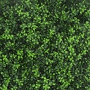 FOLY Summer Buxus 50x50 cm