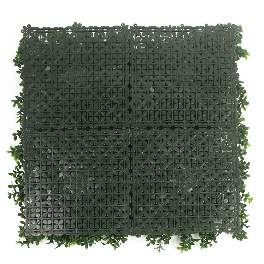 FOLY Summer Buxus 50x50 cm