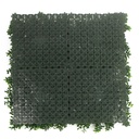 FOLY Summer Buxus 50x50 cm