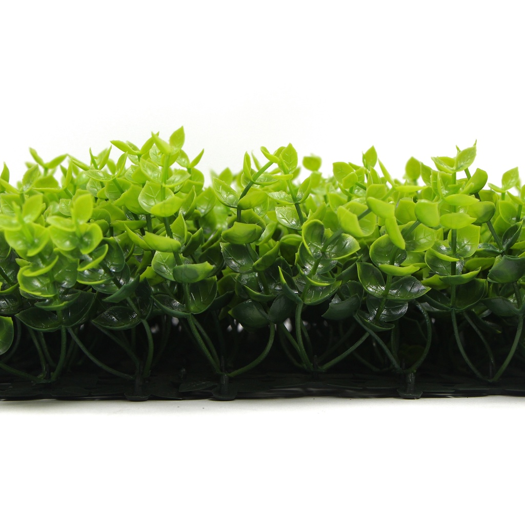 FOLY Spring Buxus 50x50 cm