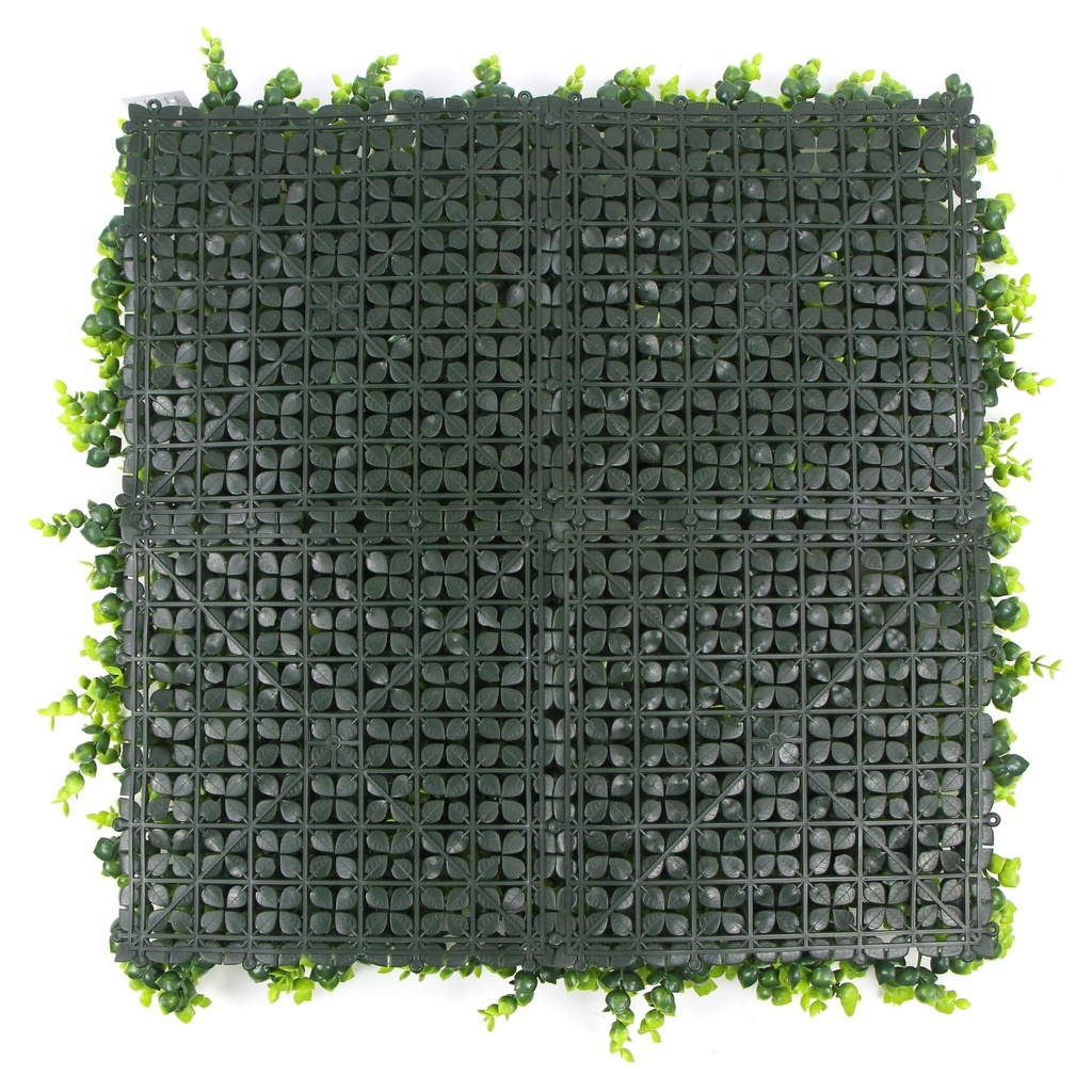 FOLY Spring Buxus 50x50 cm