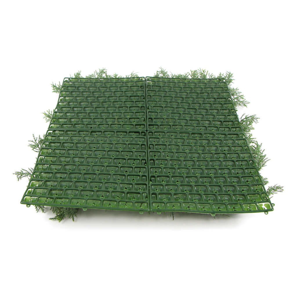 FOLY Taxus 50x50 cm