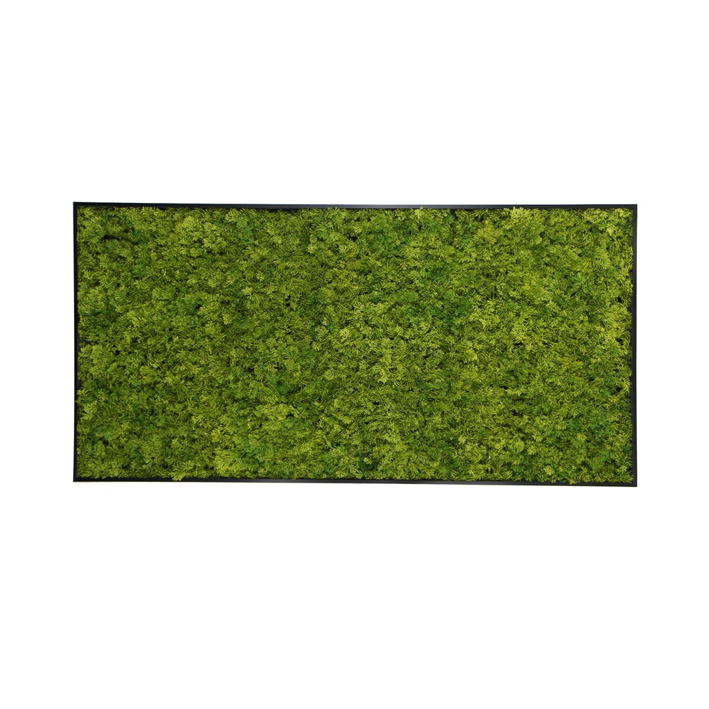 Moss Painting 50x100 cm - Emerald Green | Moss