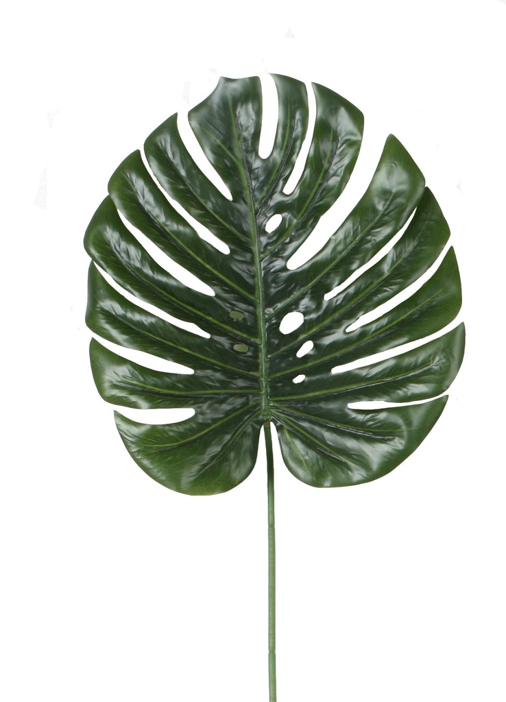 Monstera Deliciosa (blad) L36x33 FR