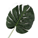 Monstera Deliciosa (blad)