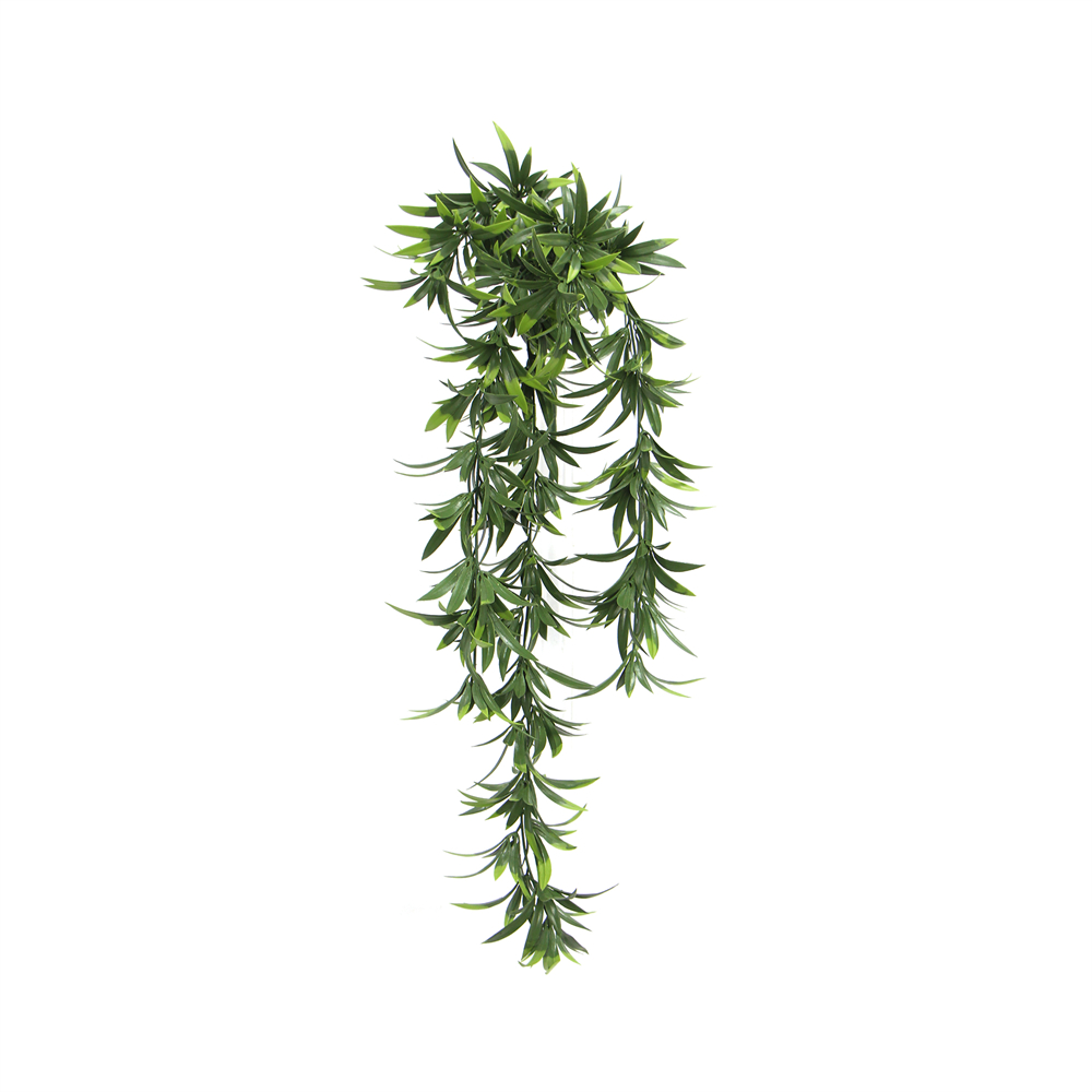 Salice piangente ricadente 60 cm UV+IFR