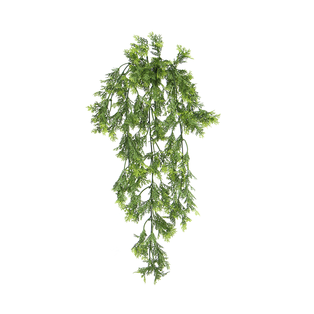 Buxus trail 60 cm UV+FR (copy)