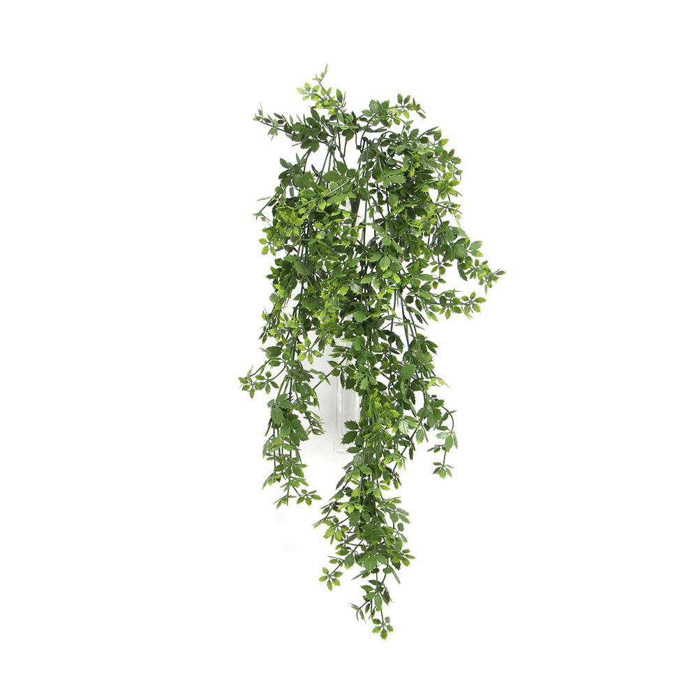 Buxus trail 60 cm UV+FR (copy)