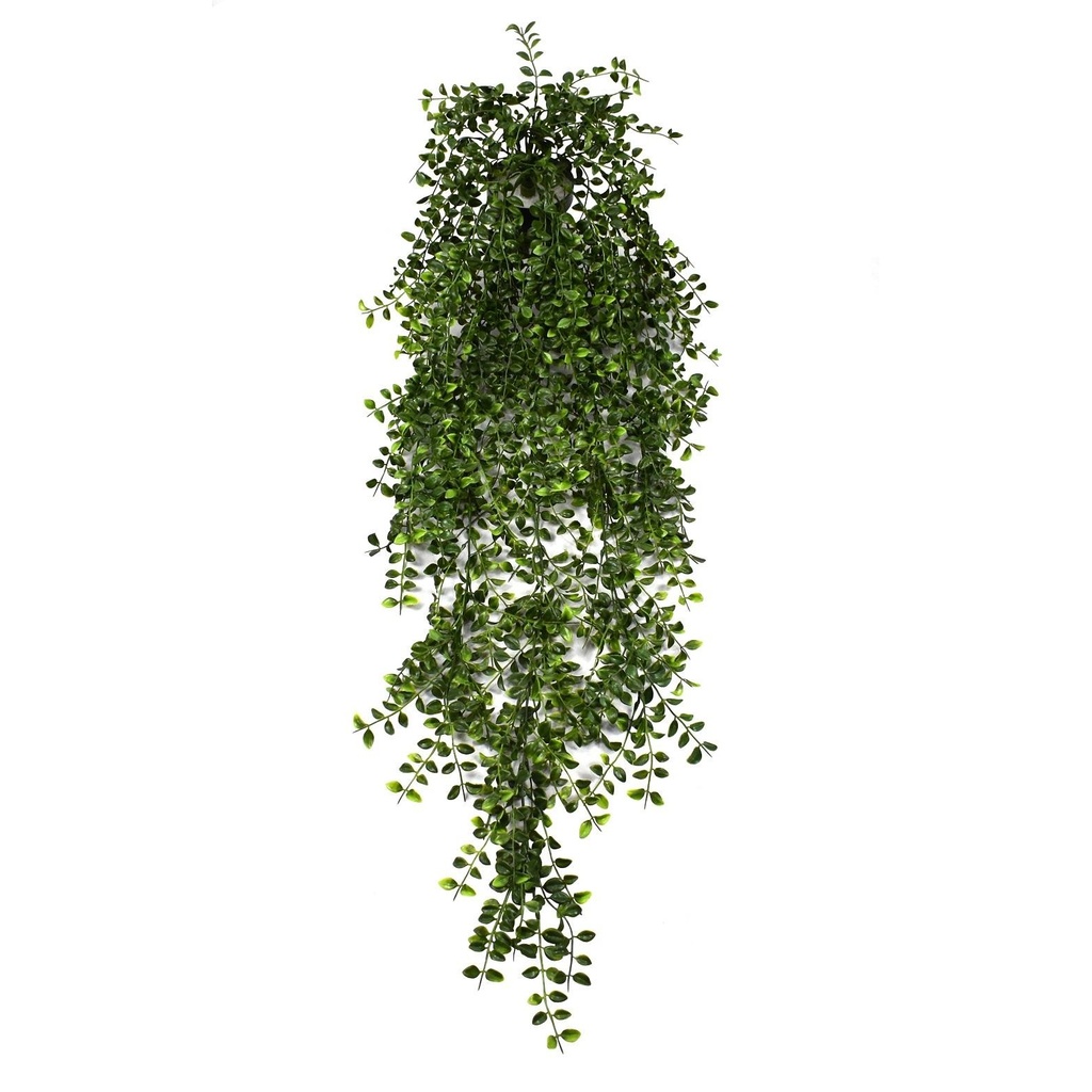 Gleditsia trail XL 105 cm UV+IFR