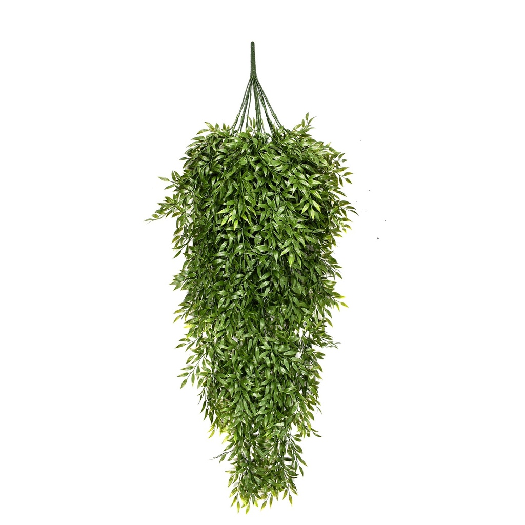 Ruscus trail XL 105 cm