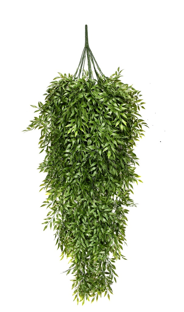 Ruscus trail XL 105 cm