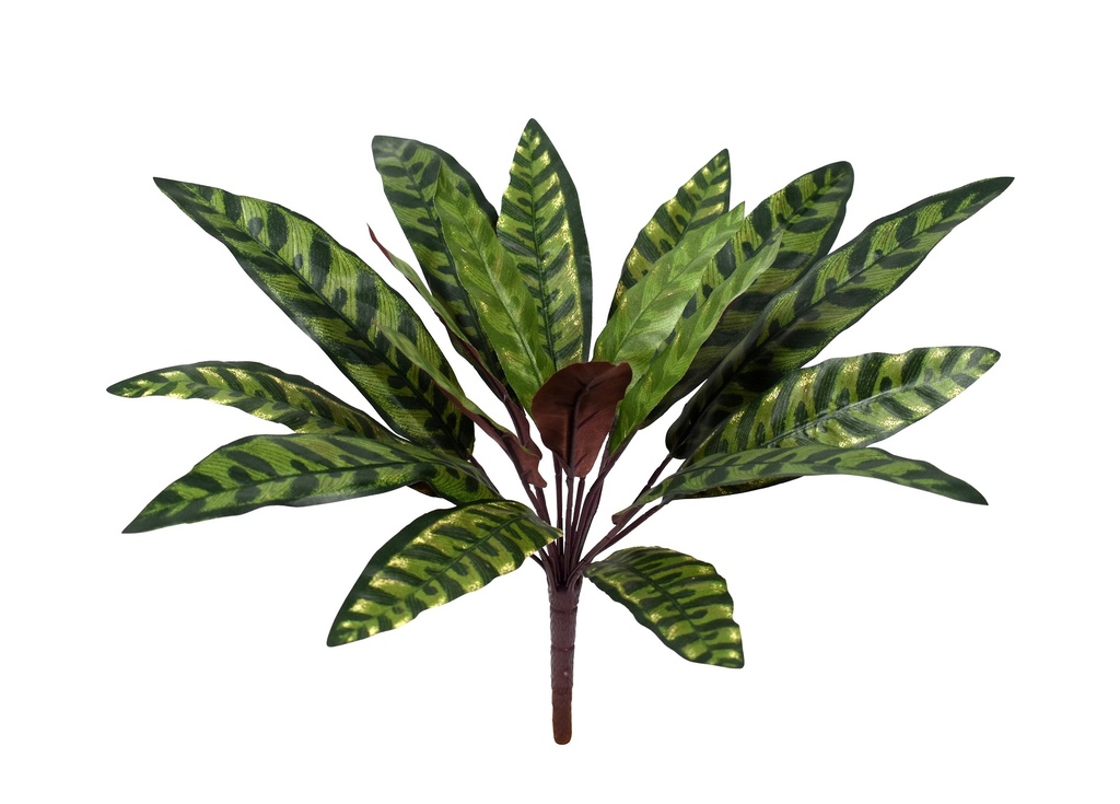 Ficus Robusta 90 cm (incl pot) (copy)