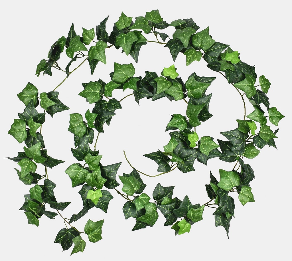 Hedera Helix garland 270 cm FR