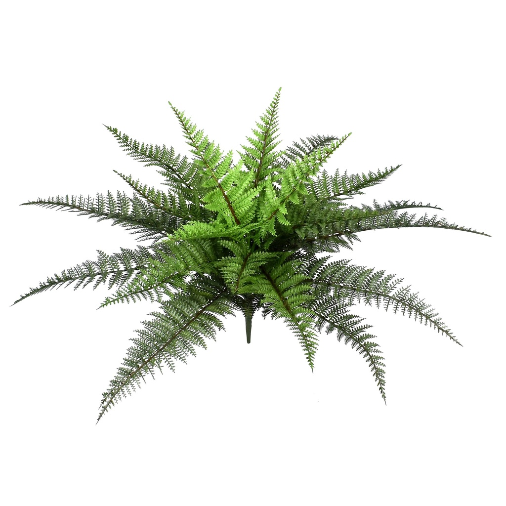 Boston Fern 48 cm UV+FR