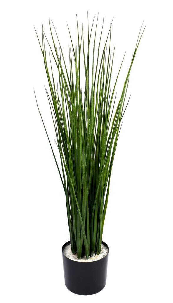 Cane grass 90 cm (incl pot) UV+FR