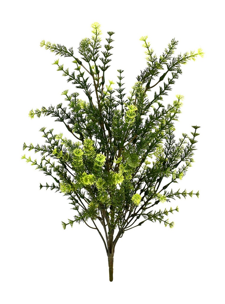 Waterweeds bush 48 cm UV+FR