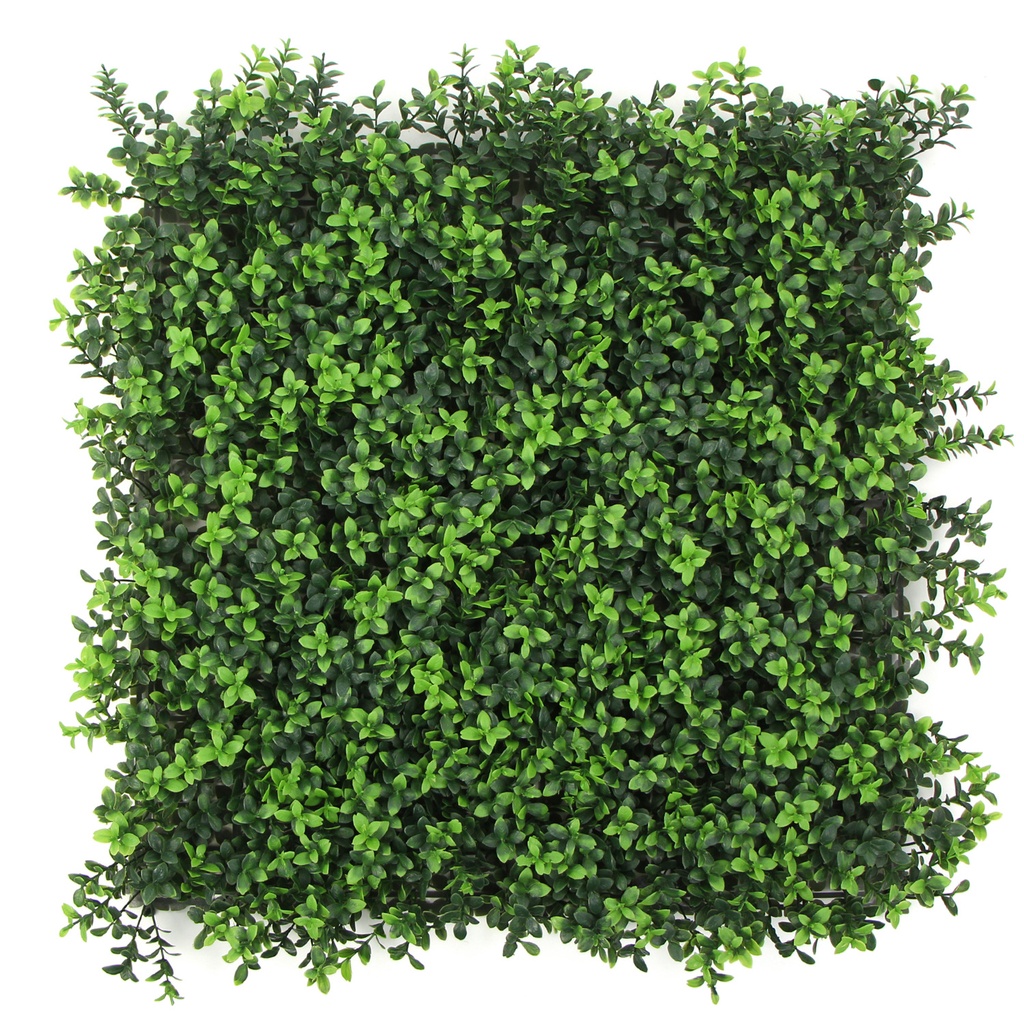 FOLY Summer Boxwood 50x50 cm UV