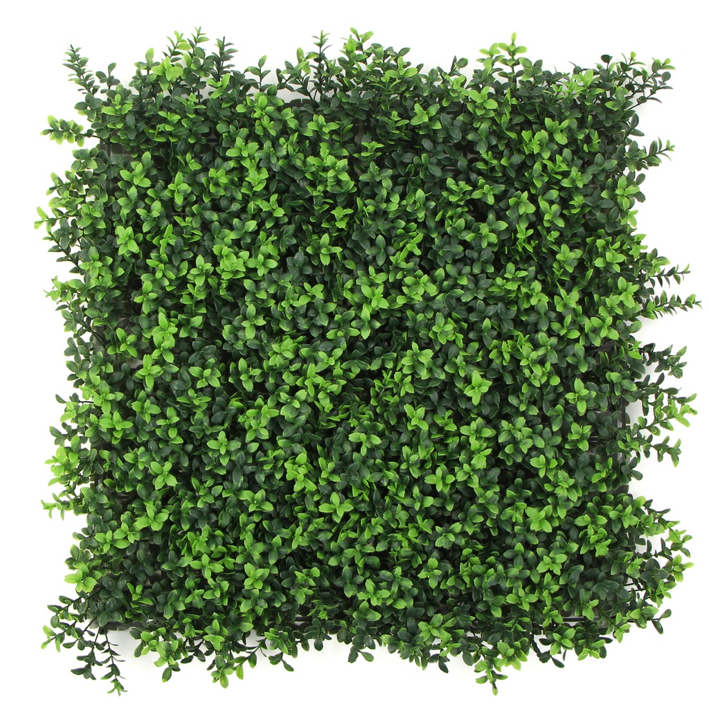 FOLY Summer Buxus 50x50 cm UV