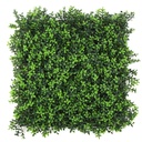 FOLY Summer Boxwood 50x50 cm UV