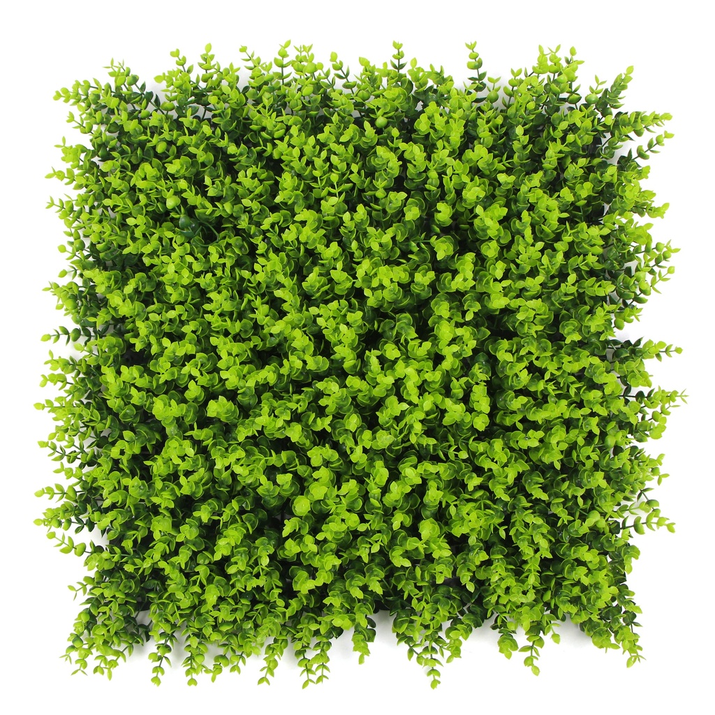 FOLY Spring Buxus 50x50 cm UV