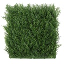 FOLY Taxus 50x50 cm UV