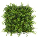 FOLY Bali 50x50 cm