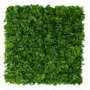 MOSS Emerald Green 50x50 cm UV+FR
