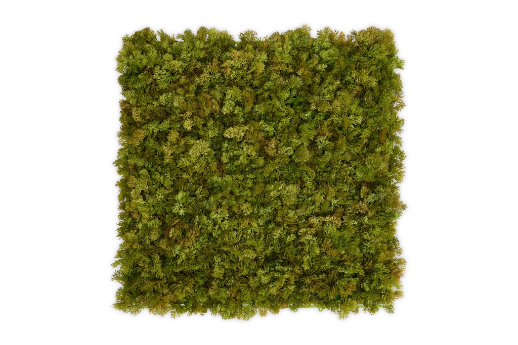 MOSS Lime Green 50x50 cm UV+FR