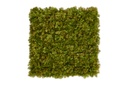 MOSS Lime Green 50x50 cm UV+FR