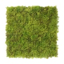 MOSS Lime Green 50x50 cm UV+FR