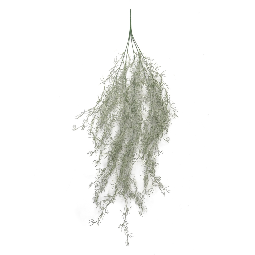 Tillandsia Usneoides 90 cm UV+IFR