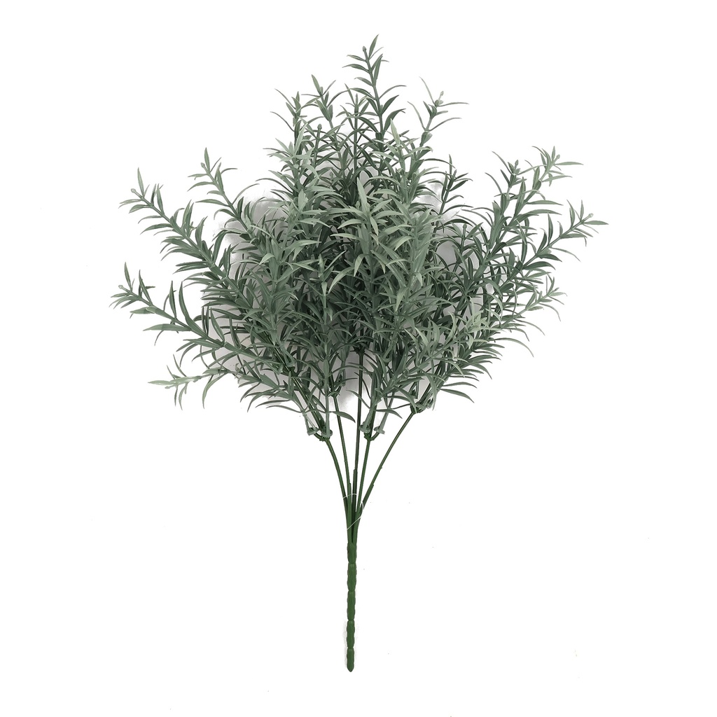 Asparagus grijsgroen 35 cm UV+IFR