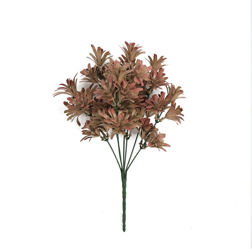 Sedum dusty pink 25 cm UV+FR