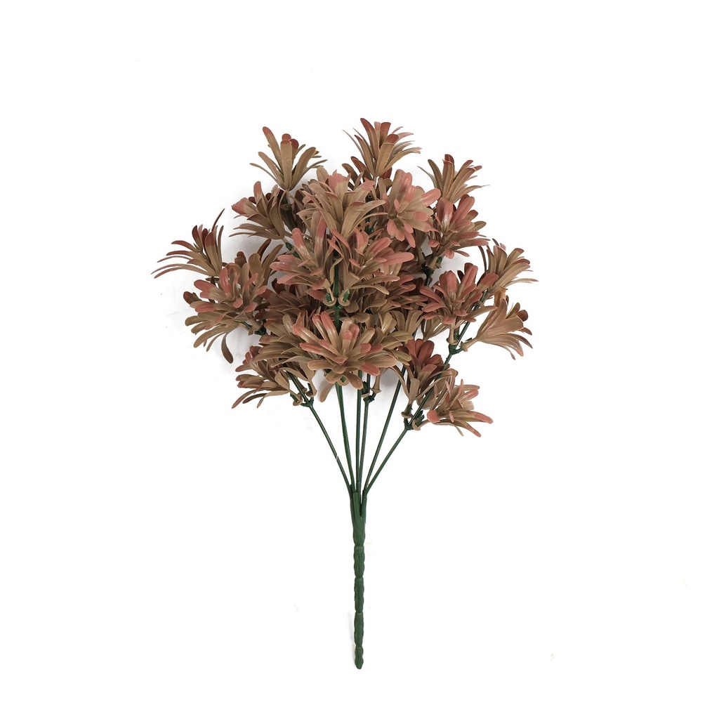 Sedum rosa empolvado 25 cm UV+IFR