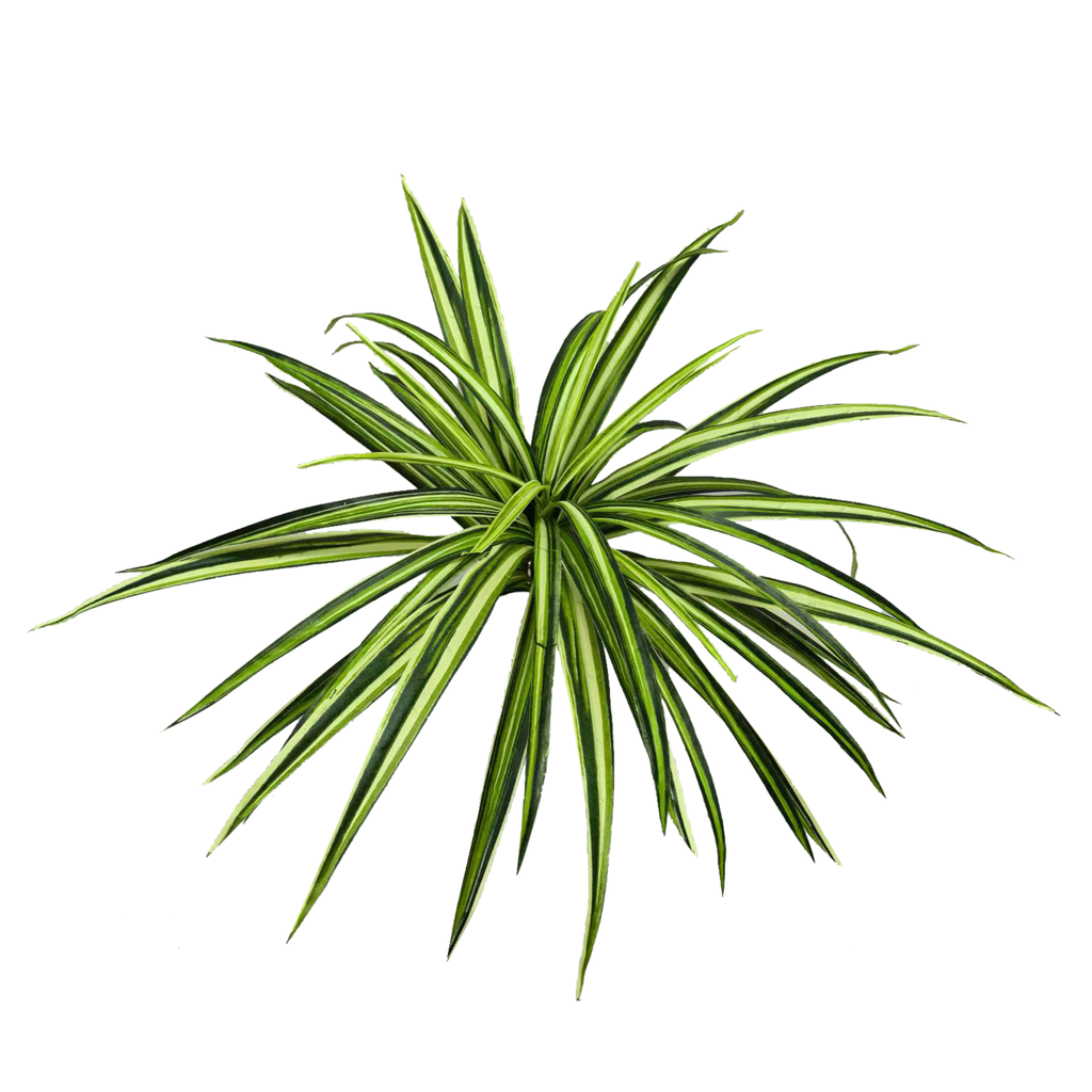 Grass spider XL ⌀ 60 cm UV+FR
