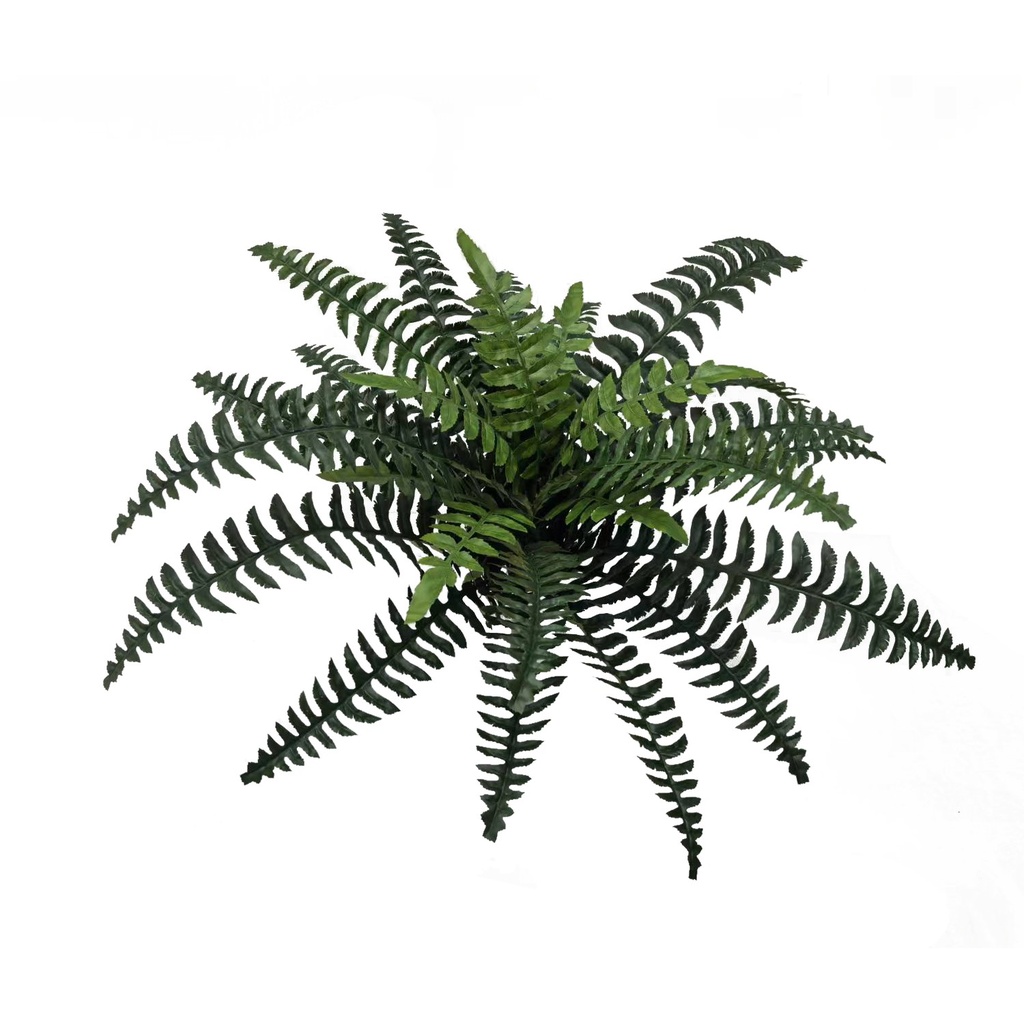 Holly Fern ⌀ 60 cm UV+FR