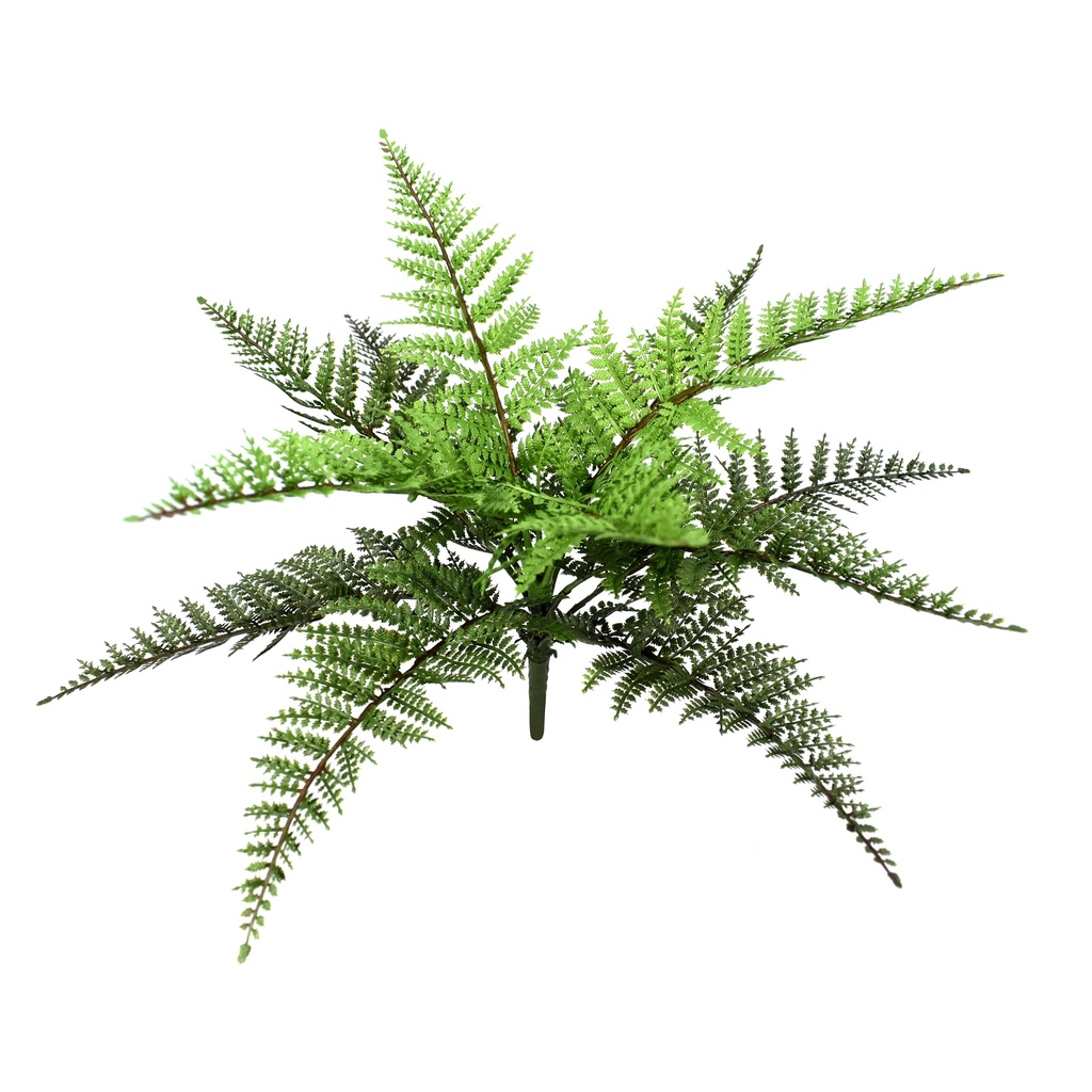 Boston Fern (small) 35 cm UV+FR