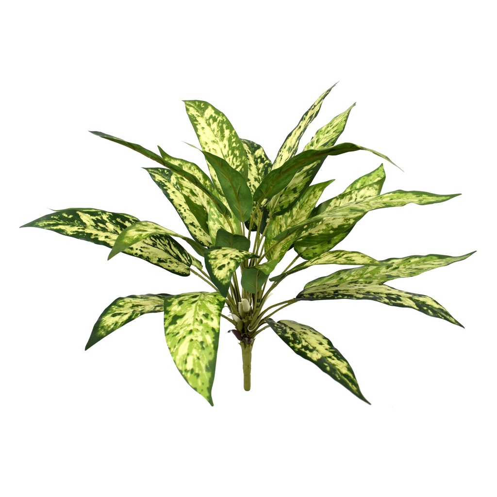 Aglaonema 48 cm UV+FR