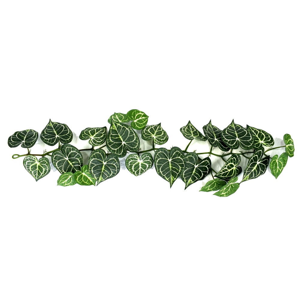 Anthurium Clarinervium garland 120 cm FR