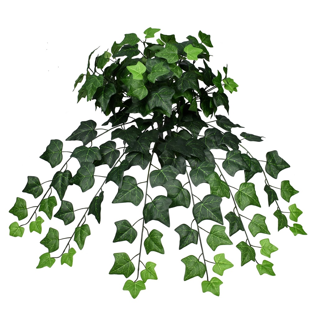 Hedera Helix 65 cm UV+FR