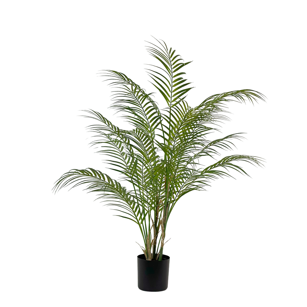 Areca Palm 90 cm (with pot)