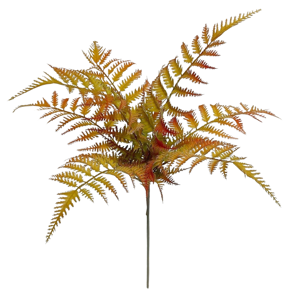 Autumn fern 45 cm UV
