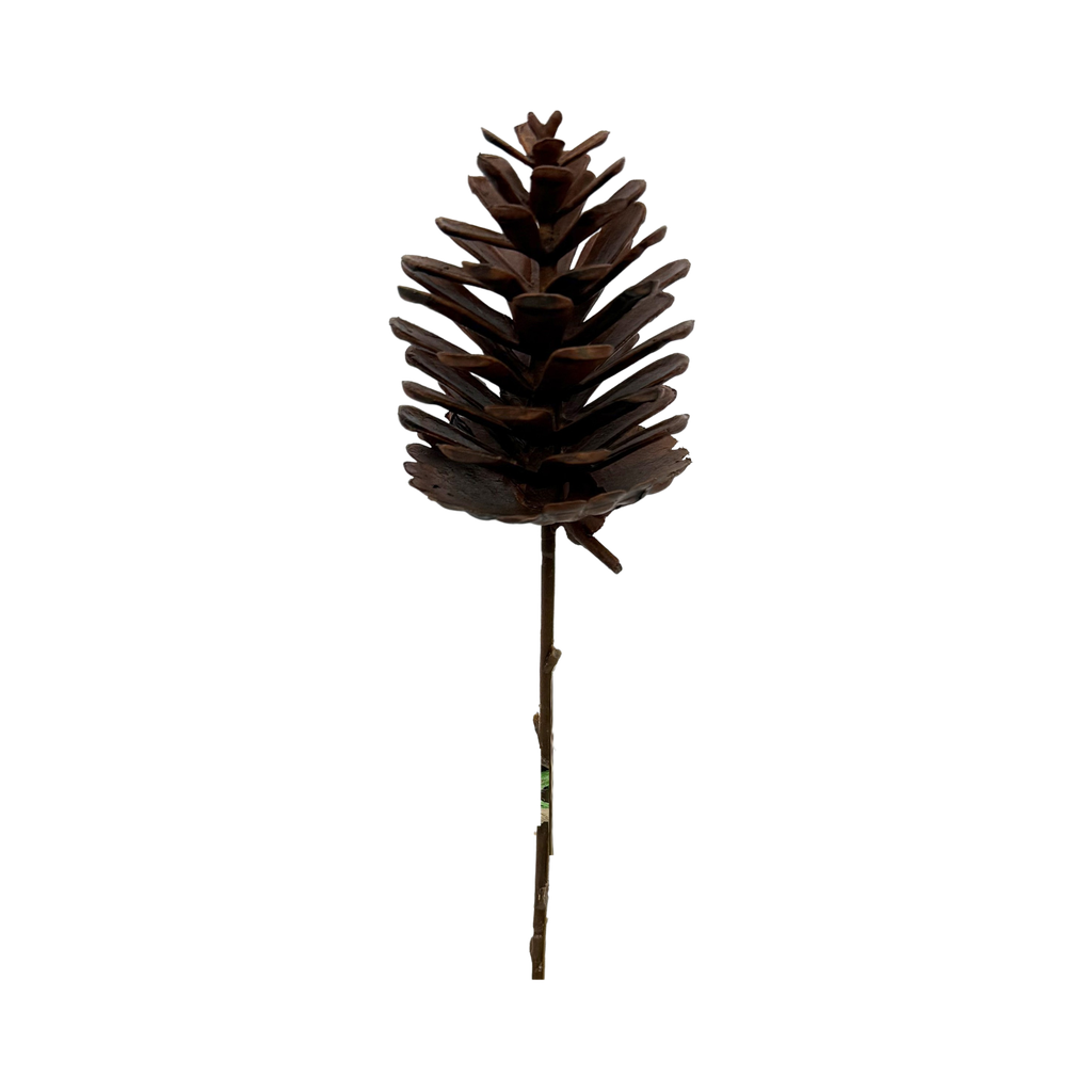 Pine apple (light brown) 5*6 cm