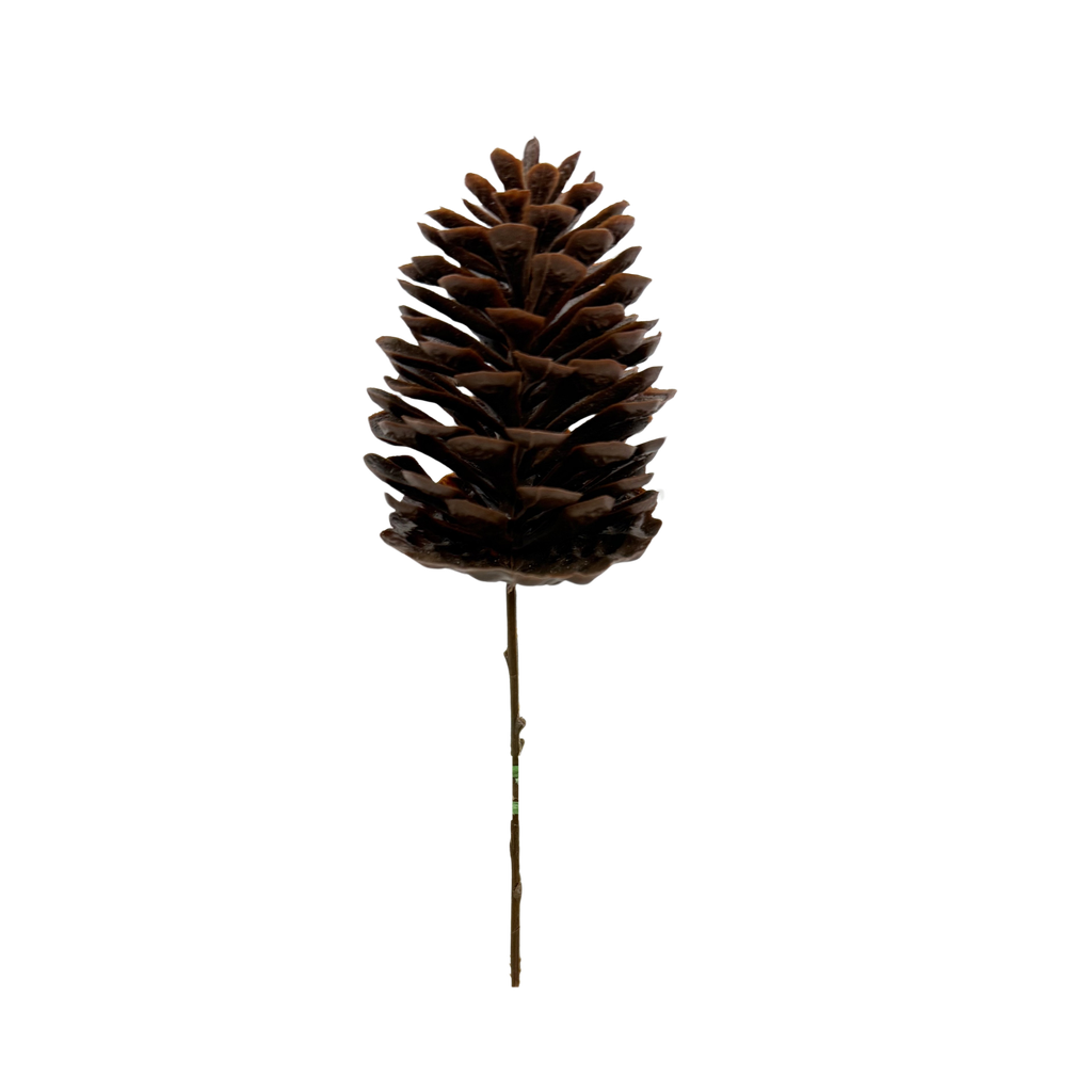 Pine cone (dark brown) 6x8.5 cm