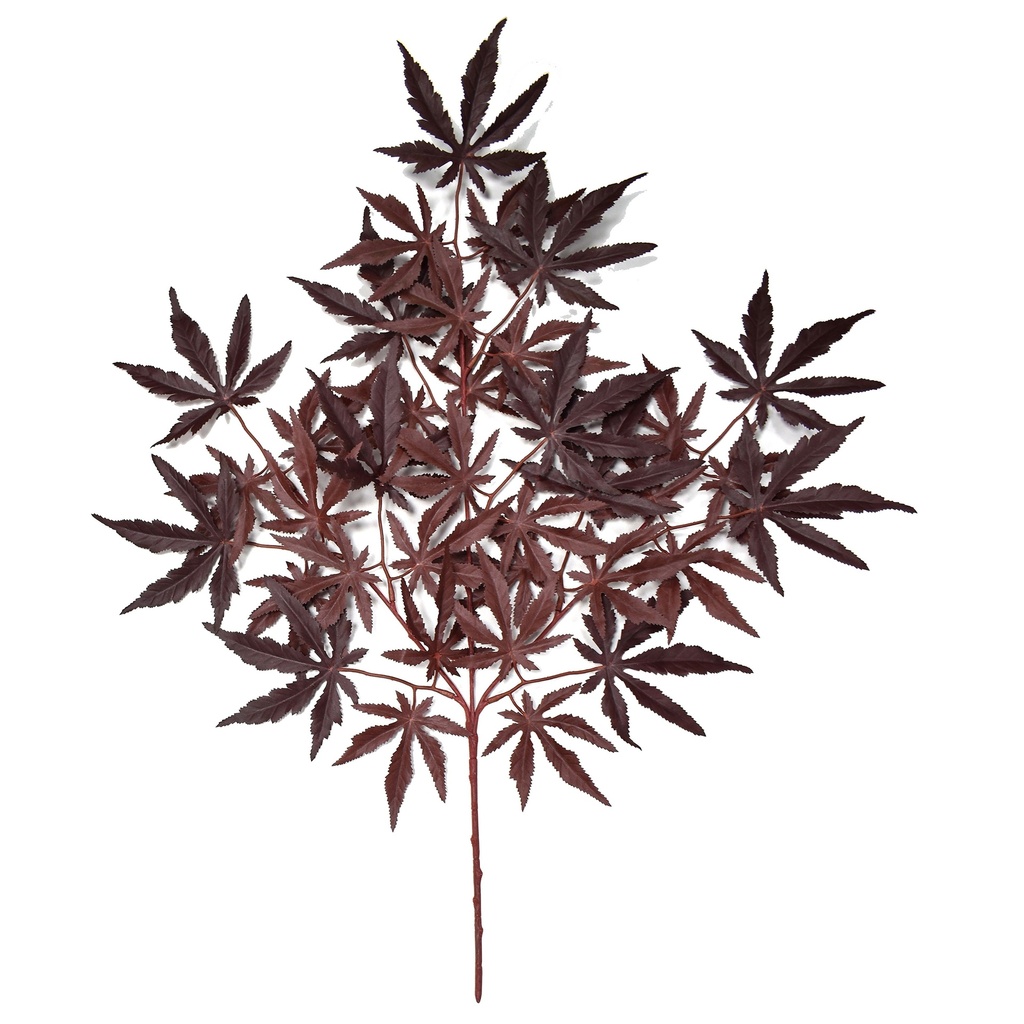 Red Japanese Acer spray 70 cm UV+FR